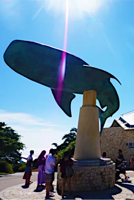 Experience Underwater Adventure