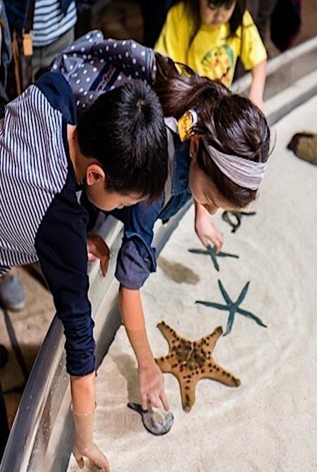 Experience Underwater Adventure