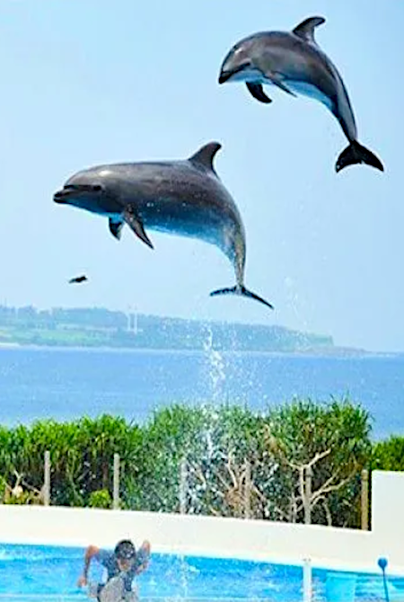 Experience Underwater Adventure